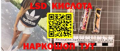 гидропоника Заводоуковск