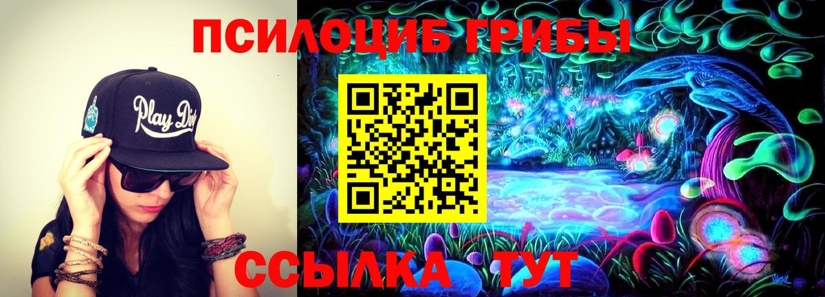 Галлюциногенные грибы мухоморы Минеральные Воды