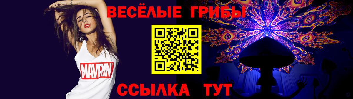Псилоцибиновые грибы мицелий  Вход с VPN  Минеральные Воды 